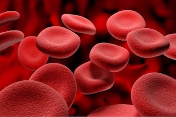 normal red blood cells