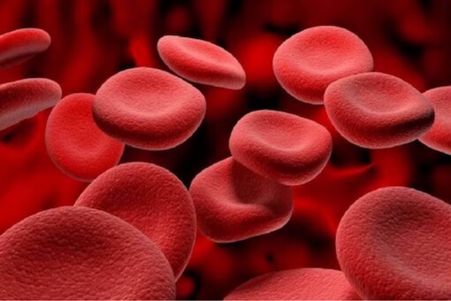Diseases of the red blood cells include different types of anaemia.