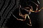 All About Adi Shakti, First Ever Common Origin Of Most Spider Venoms