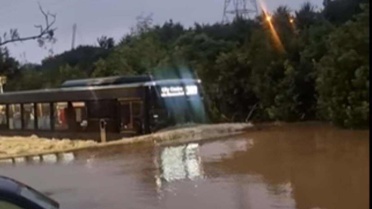 In Viral Video, New Zealand Driver Steers Bus Through Flooded Road