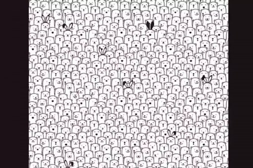 If you successfully found the dog within 9 seconds, you are a great observer and have good concentration skills.