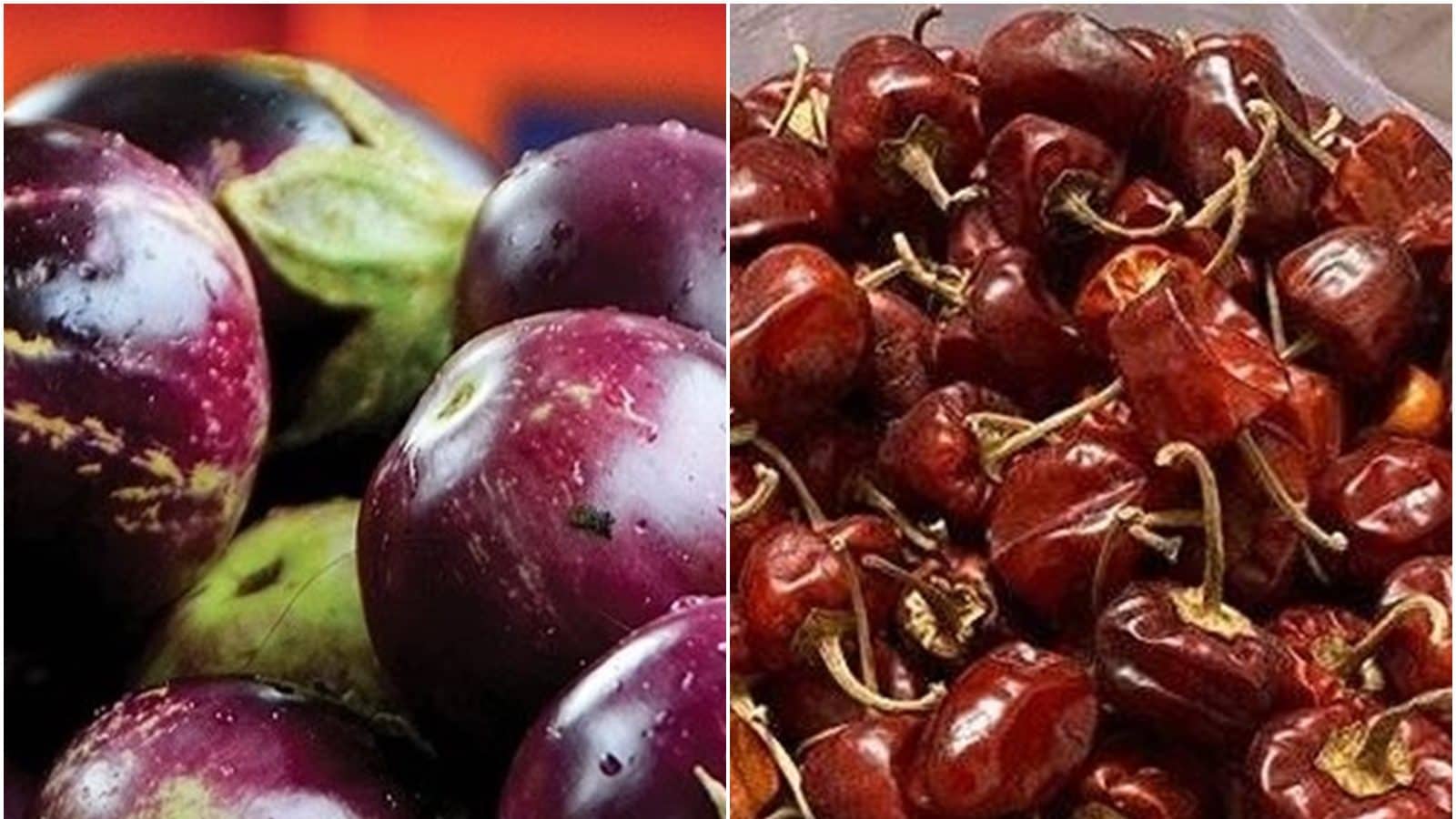 Tamil Nadu’s Ramnad Mundu Chillies, R Vellore Spiny Brinjal Awarded GI Label