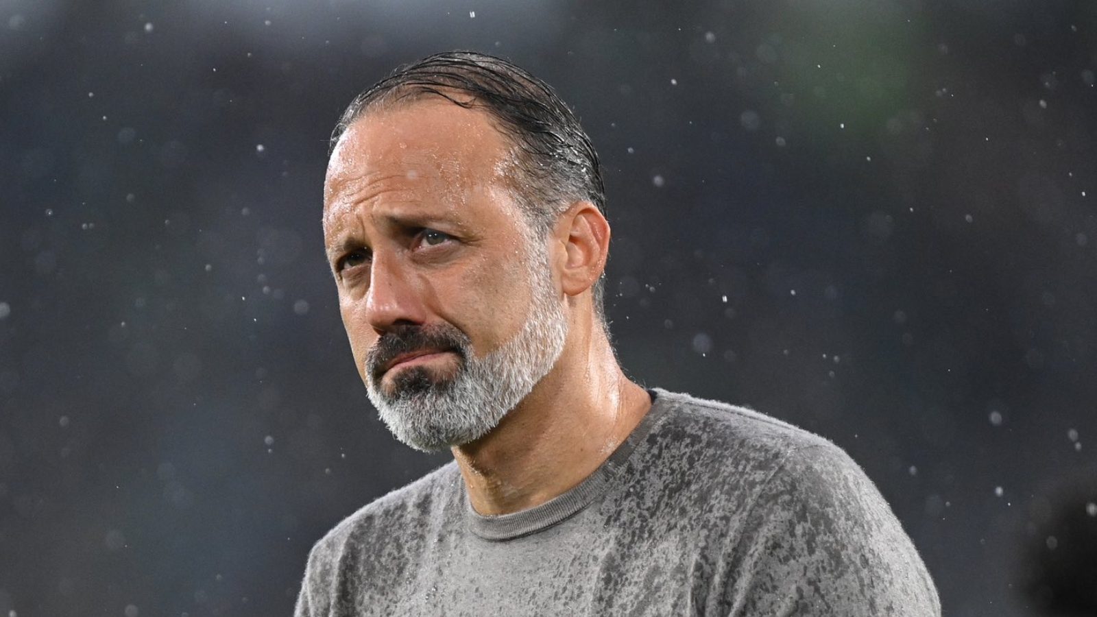 Bundesliga Club Hoffenheim Hire American Coach Pellegrino Matarazzo to Avoid Relegation Scrap