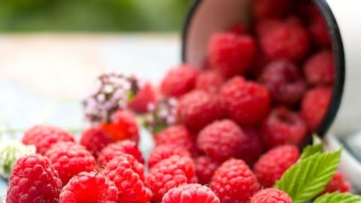 6 Health Benefits Of Consuming Raspberries News18