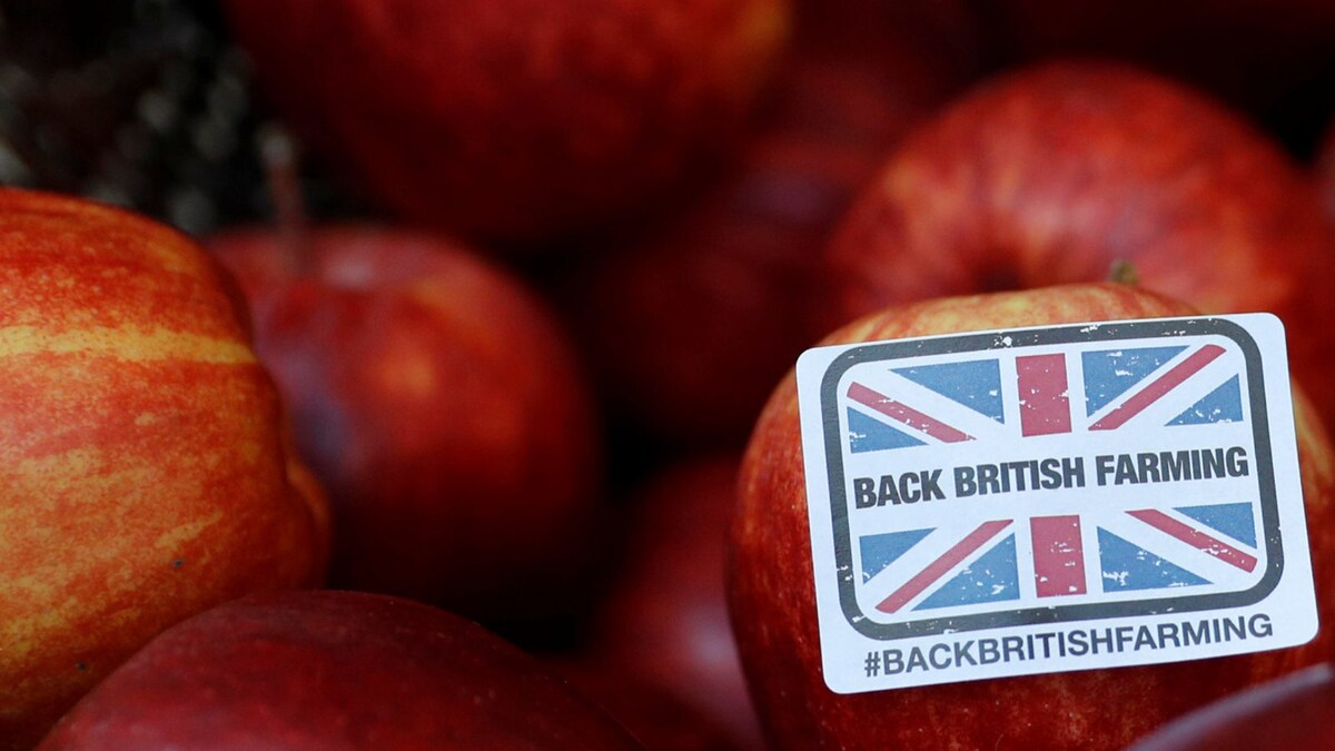 UK Food Shortage: After Tomatoes, Lettuce, Apples and Pears Could Be Next on the List