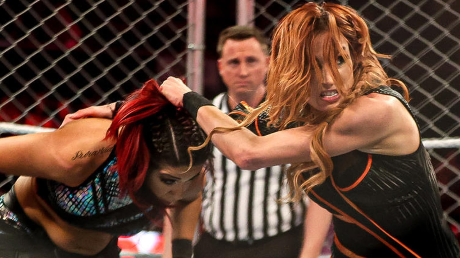 🎄Women of WWE🎄 — Becky Lynch and Bayley's Steel Cage Match never