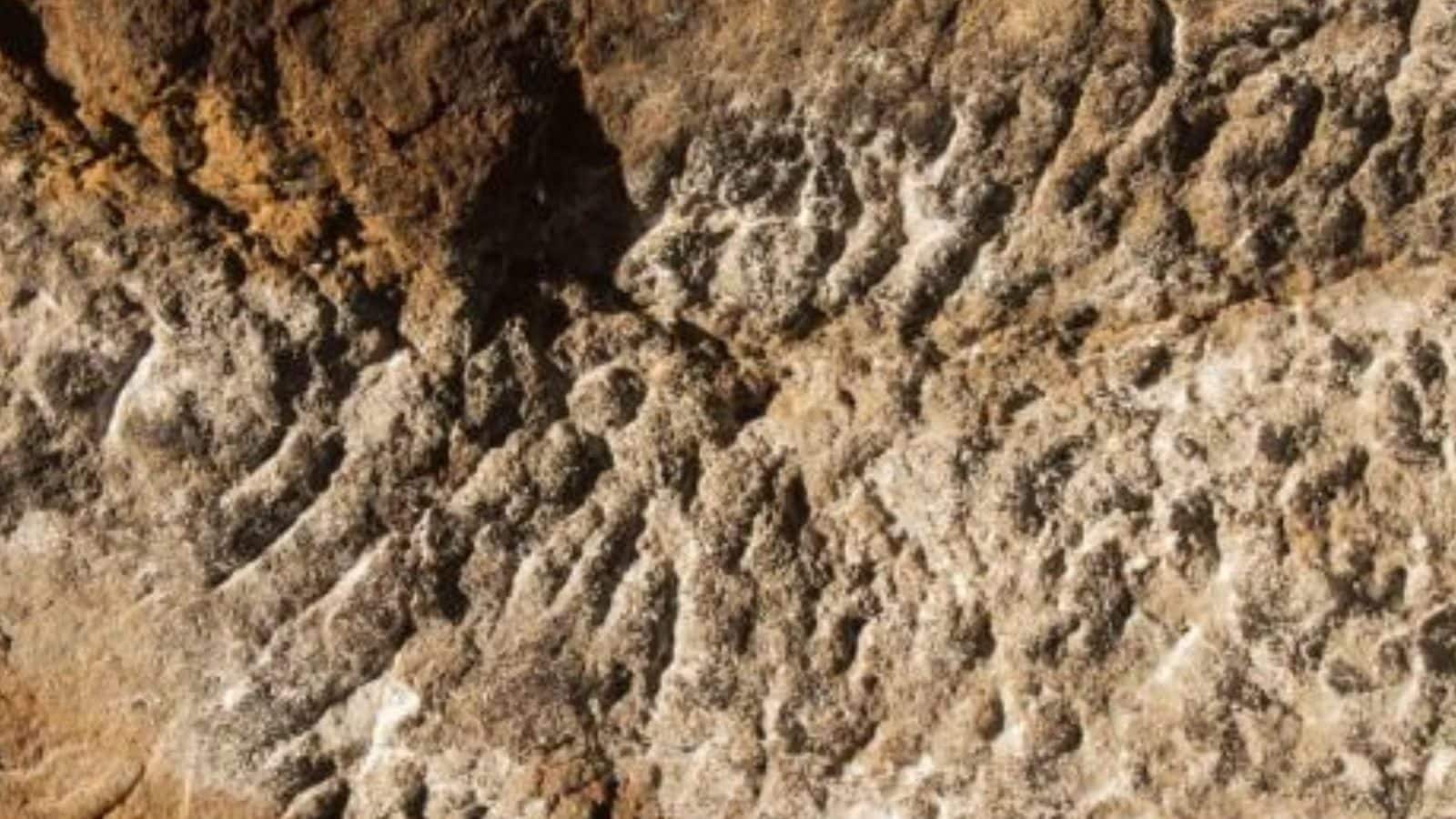 Tamil Nadu: 2,200-year-old ‘Tamizhi’ Inscriptions Discovered in Madurai-based Cave