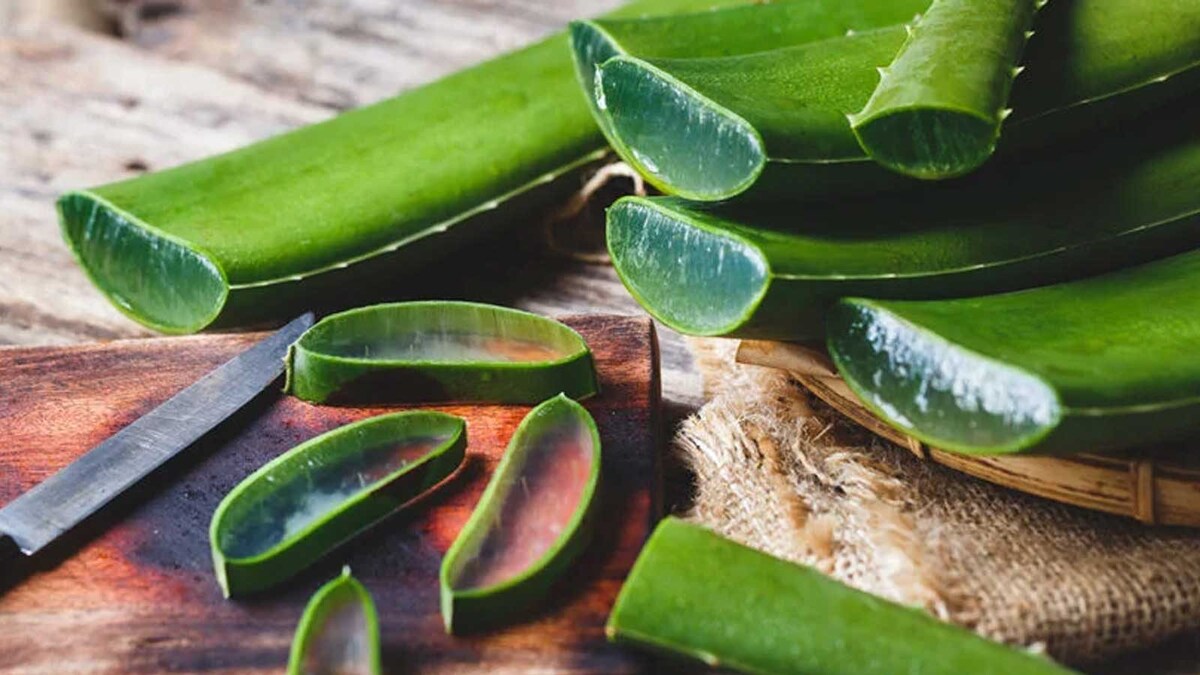 4 Ways To Use Aloe Vera Gel For Strong And Healthy Hair