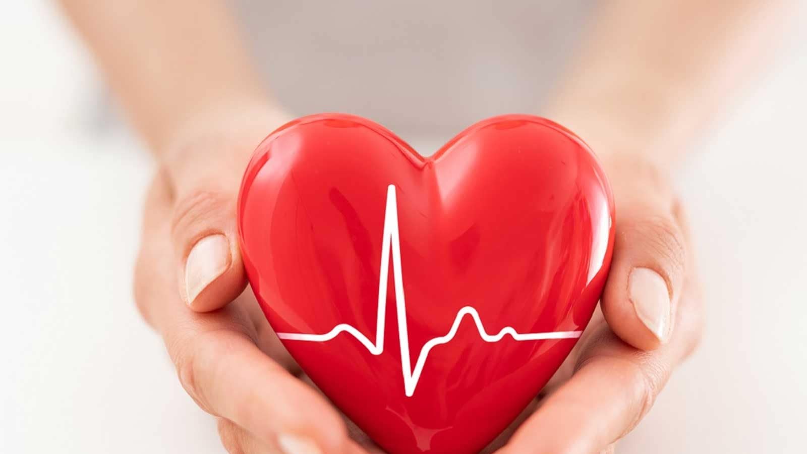 Tips To Maintain A Healthy Heart