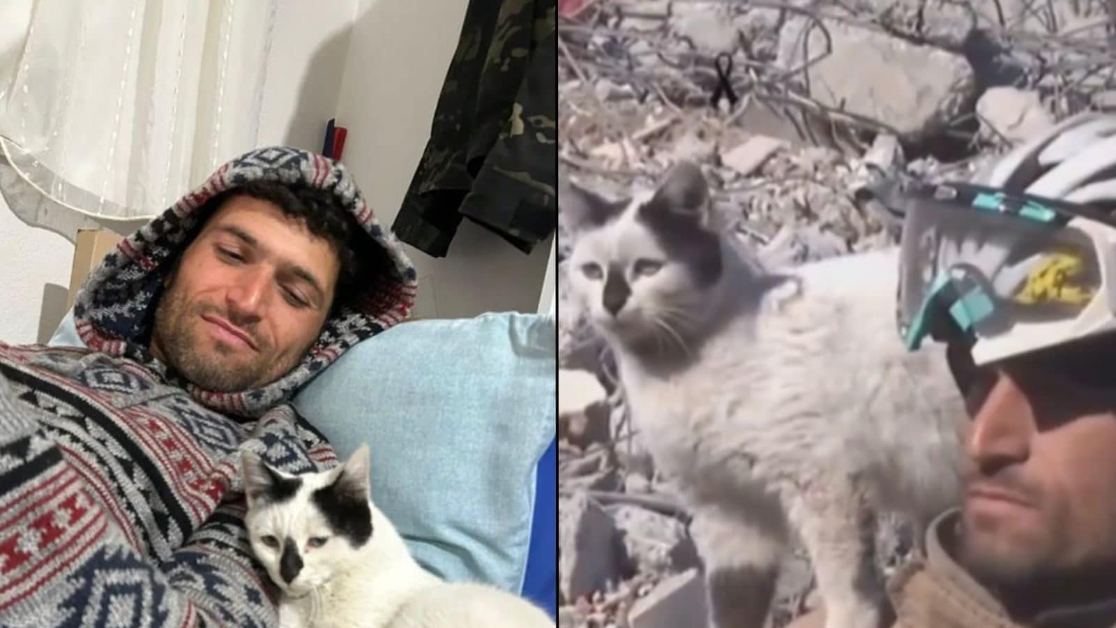 Rubble, the Cat: Rescuer Adopts the Feline He Saved in Turkey ...
