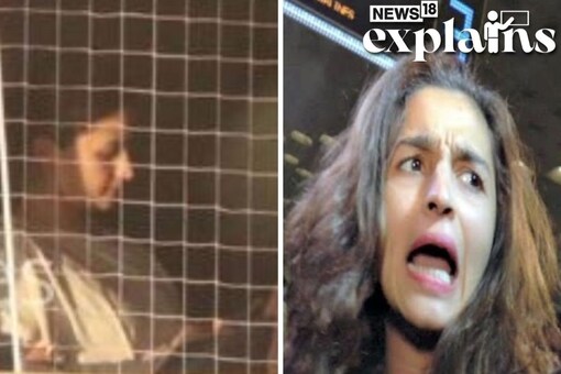 Alia Bhatt said she was appalled at being clicked inside the safety of her home  (Image: Alia Bhatt/Instagram and @CDSBollywoodTweetss)