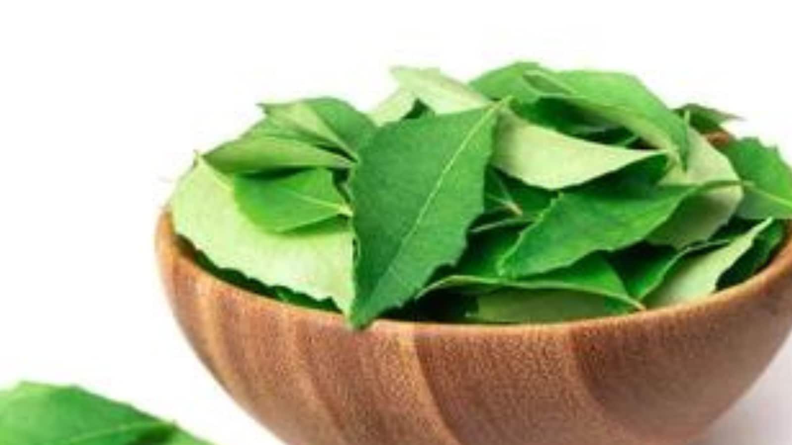 Benefits Of Using Curry Leaves As A Part Of Your Haircare Routine