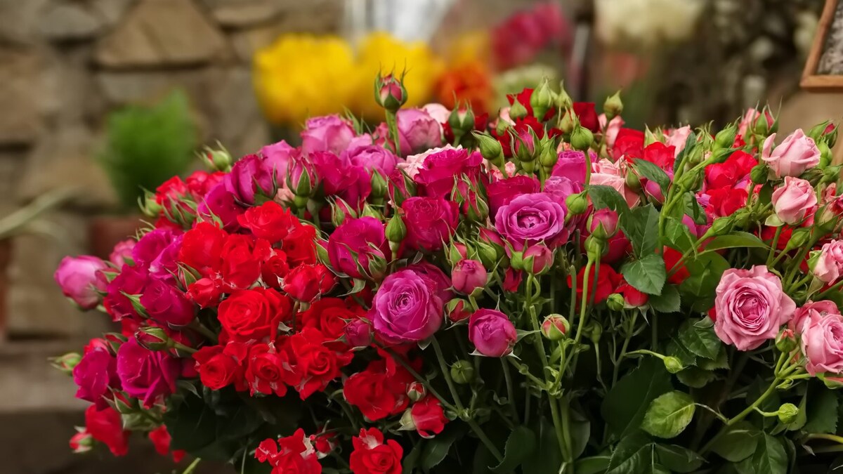 A Rosy Day for Flower Sellers as Demand and Prices Surge, Gives Fresh