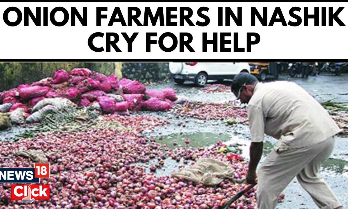 Maharashtra News Onion Price Hits A New Low Nashik Farmers On Onion