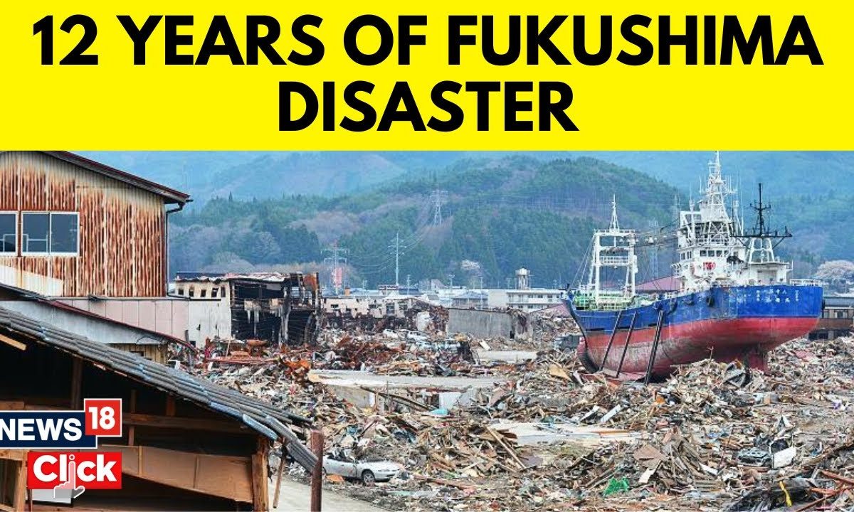 Fukushima earthquake level