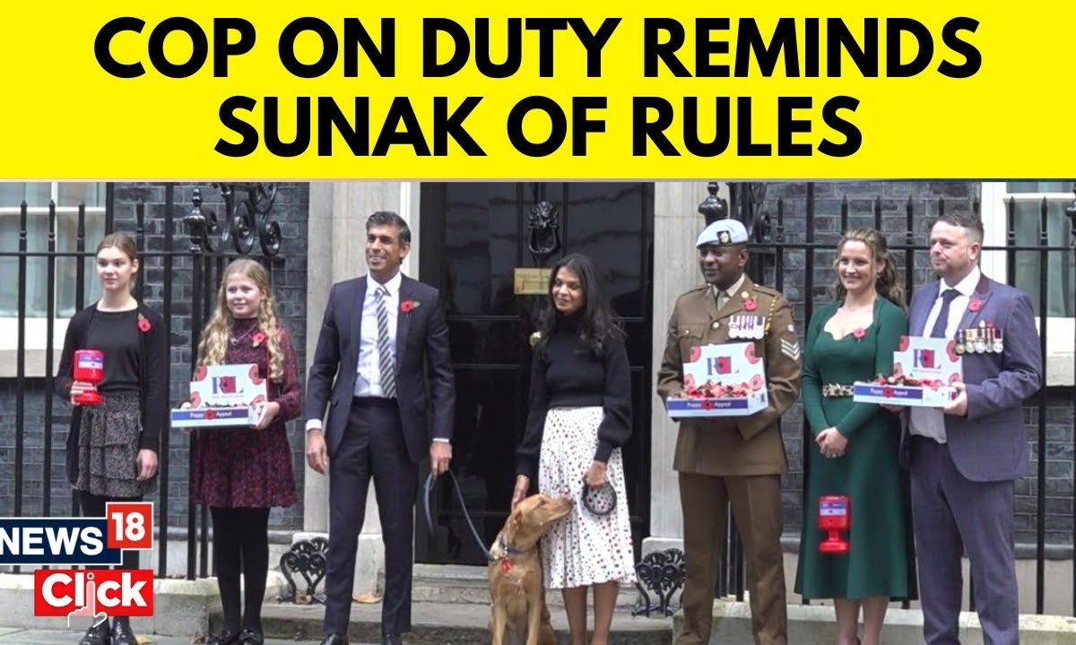 Rules For Dog Walking Rules For Dog Walking