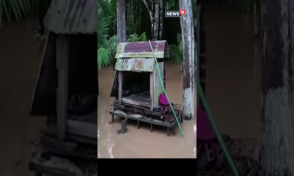 Drone Captures Scale Of Flood Devastation In Bolivia | Flood In Bolivia ...