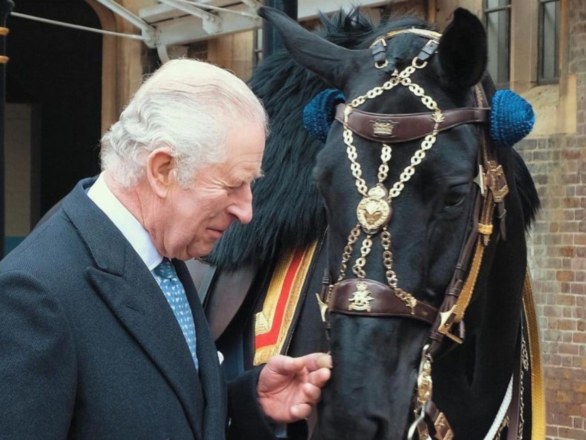 King Charles, Ahead Of Coronation, Receives A Horse From Royal Canadian Mounted Police