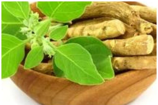 Ayurvedic remedies emerge as a natural and effective alternative to allopathy. (File rep image: Shutterstock)