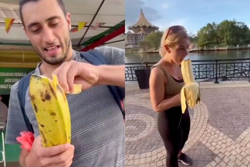 Have You Ever Seen the World's Largest Banana Species? Watch Here - News18
