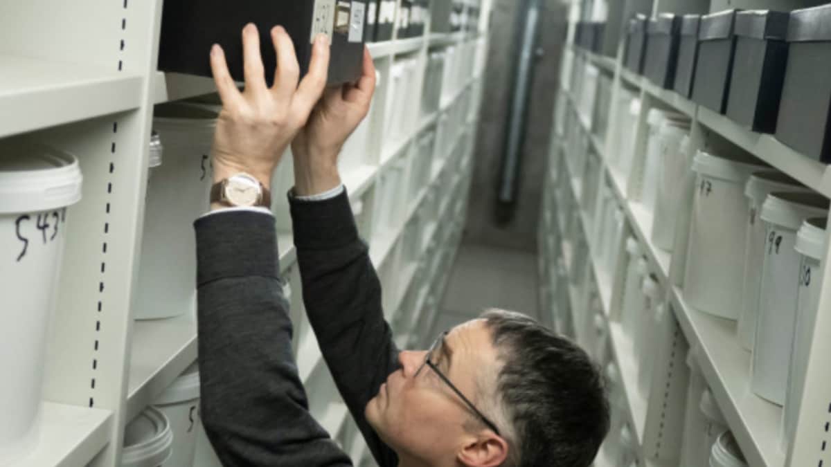 Grey Area: Chilling Past of World's Biggest Brain Collection | Buzz ...