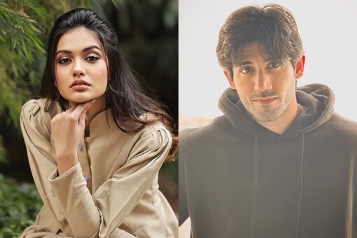 Even though Divya Agarwal did not name Varun Sood, she shared that she 'chose peace' and decided to 'move on'. (Photos: Instagram) 