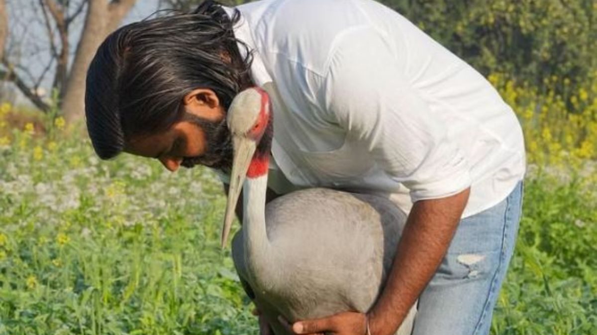 'Imagining Life Without A Friend is Meaningless': Rules End Unique Bond Between Amethi Man, Crane