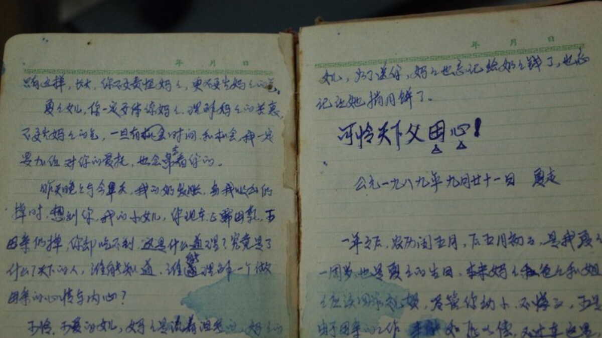 'This Hurts Forever': Mom's Heartbreaking Diary Entries On China's One-Child Policy - Vimarsana News