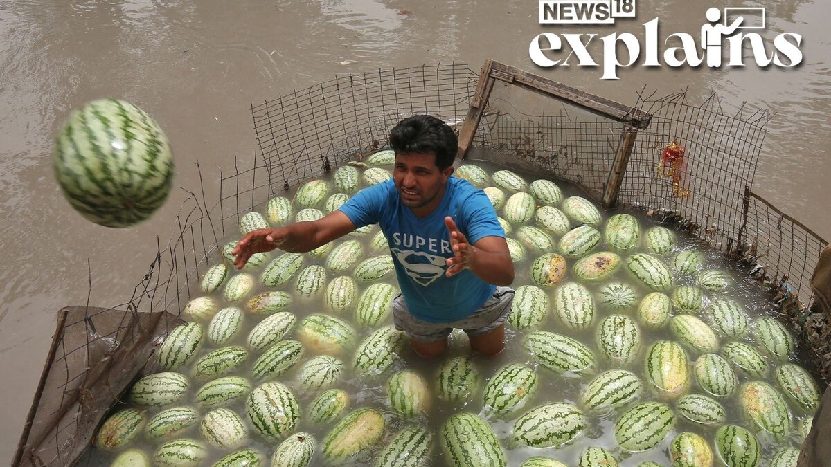 As Heatwave Approaches, Know How Exceeding 'Wet Bulb Temperature' in