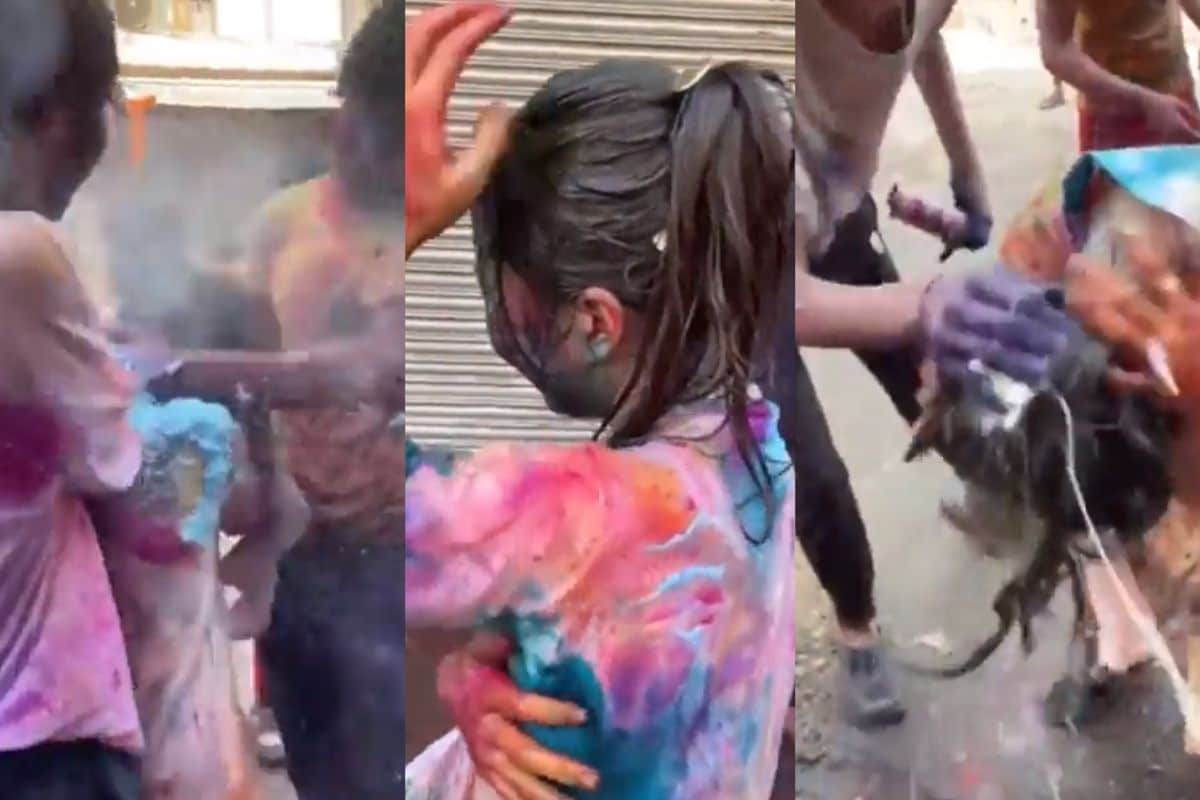 Three Delhi Men, Including a Minor, Arrested for Harassing Japanese Woman on Holi; All Confessed image picture