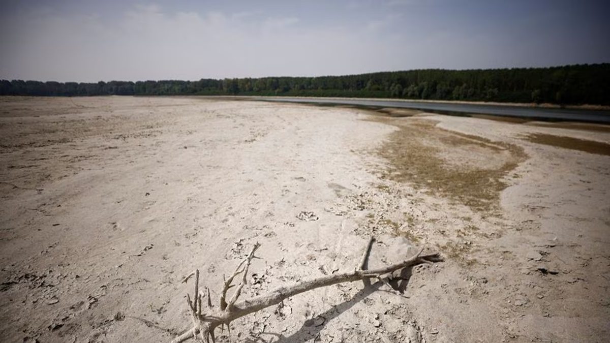 Monsoon Slips To 'Below Normal' In August; Drought Threat Looms Large In These States