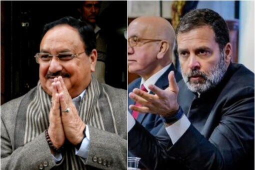 What kind of statements he makes, Nadda asked, saying people of India do not listen to him, but merely tolerate him.
 (Source: PTI/File)