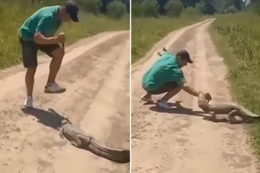 man-stabs-alligator-reptile-bites-his-ha