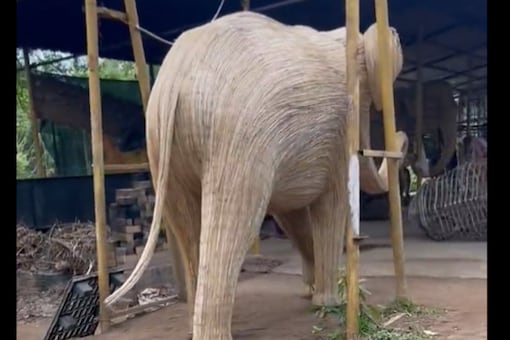 The work of elephant replicas is a new local livelihood opportunity for young tribals. (credits: Twitter/@supriyasahuias)