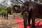 Kumki Elephant, Part Of 99 Rescue Operations, Gets Guard Of Honour On Last Day At Work