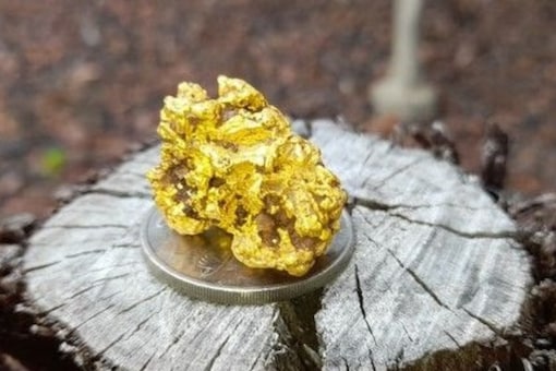 The gold specimen is named Lucky Strike Nugget.” (credits: Rep Image Fb/Lucky Strike Gold)