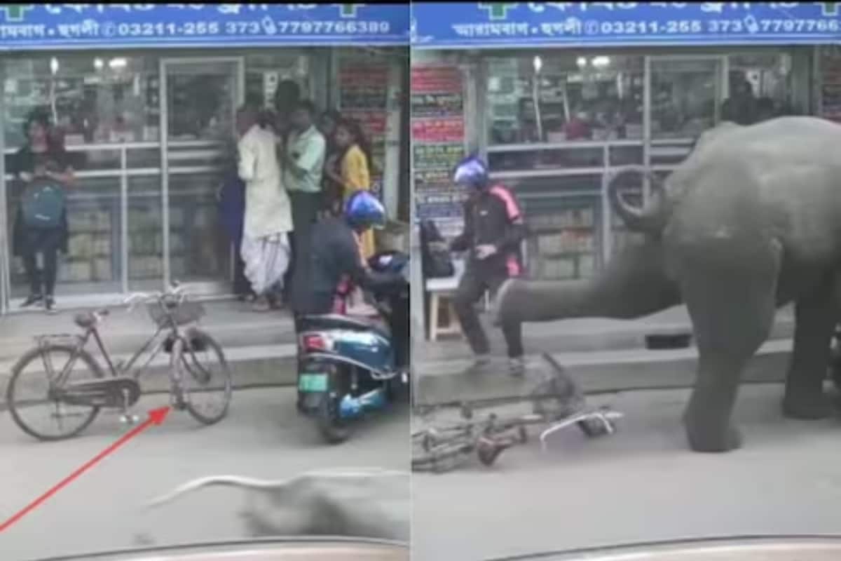 In Bengal Market, Angry Elephant Crushes Scooter; Watch Here