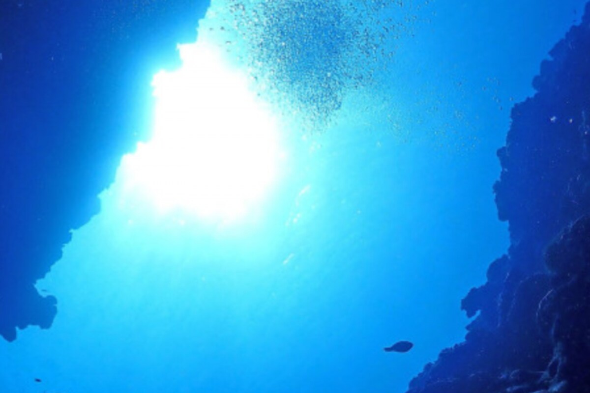 Drugs From the Deep: Scientists Explore Ocean Frontiers