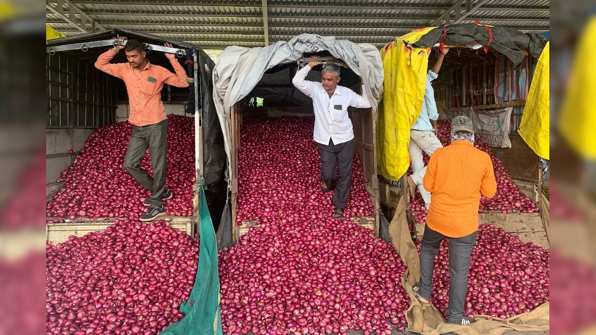 Nafed Begins Onion Procurement from 3 Mandis in Gujarat from Today