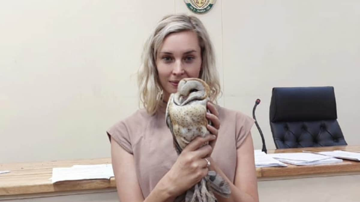 An Unexpected Guest: Barn Owl Causes Frenzy in South African Court, Here's What Happened Next