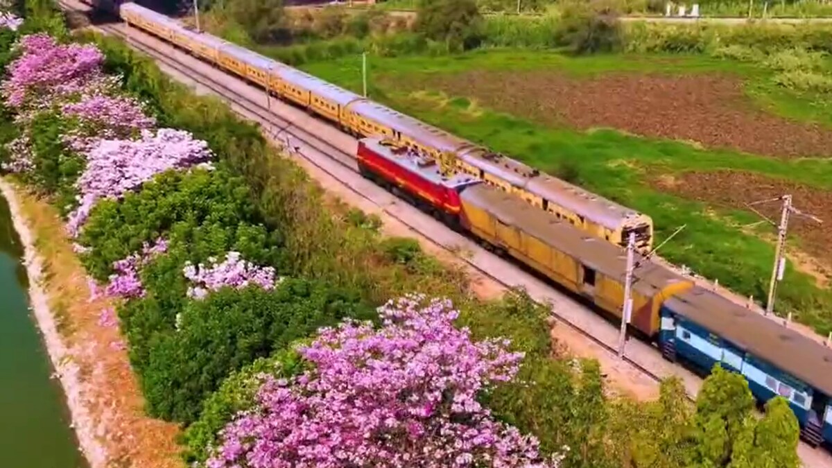 Bengaluru Blossoms: Aerial View Captures IT Capital's Pink Flower Delight - Vimarsana News