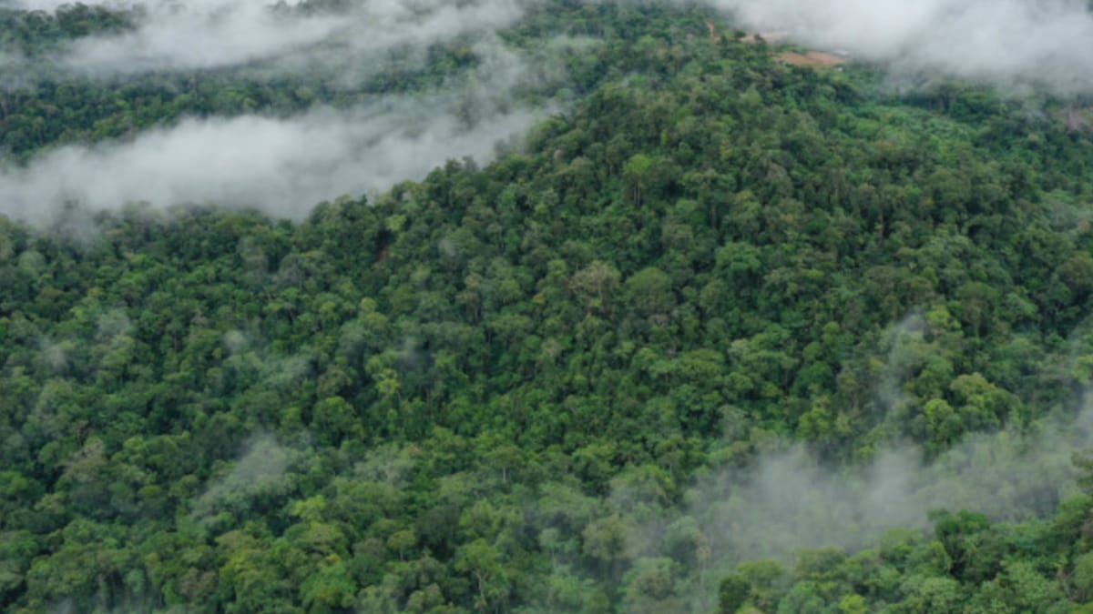 'Flying rivers' Are Atmospheric Waterways That Are Crucial to the