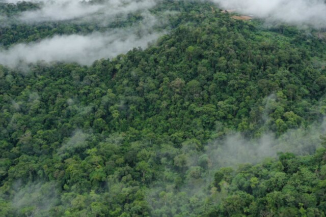  It's well known that the Amazon, the largest tropical forest in the world, is characterized by high humidity. What is less well known is that flying rivers play a key role in ensuring the forest's thermoregulation.  (Credits: AFP)