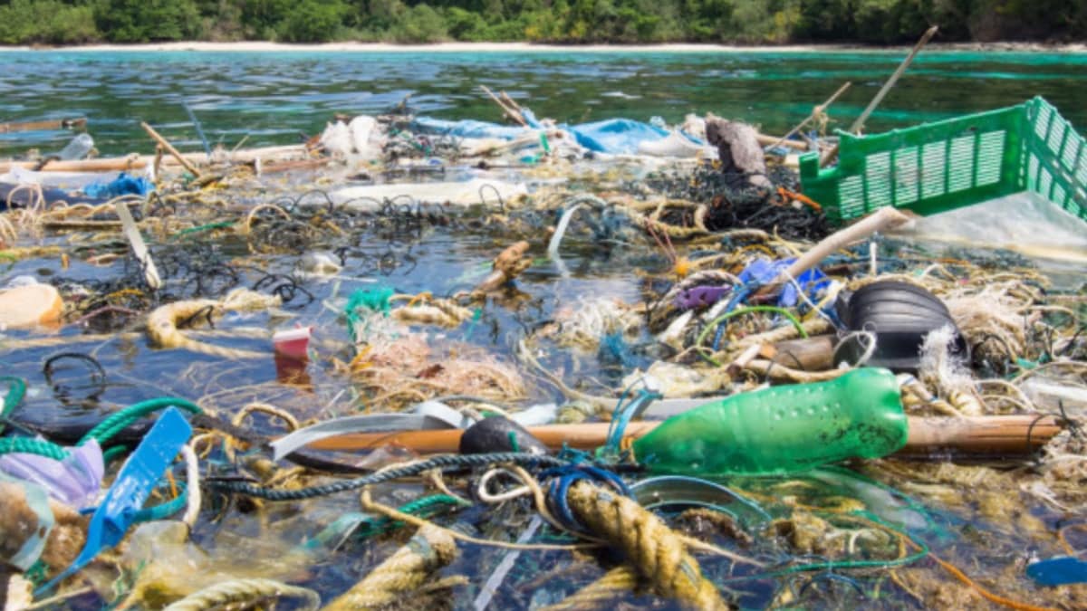 Plastic Rocks Brazil Researchers Discover 'Plastiglomerate' Rocks on a Remote Brazilian ...