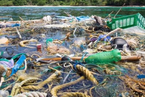 Researchers believe that the melted plastic identified in the rocks comes from fishing nets washed up on the island's beaches. (Credits: AFP)