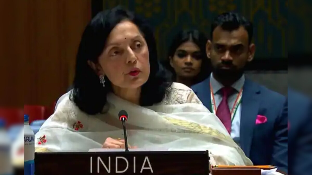 'Condemn Terrorism in All Forms & Manifestations': At UN, India Asks World to Stand Guard Against False Narratives