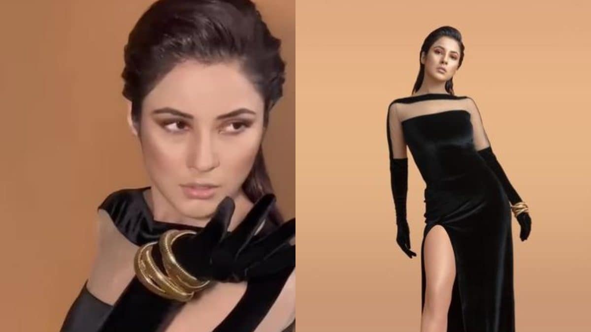 Shehnaaz Gill Strikes Sultry Pose in Sexy Thigh-High Slit Black Velvet Gown, See Pics - Vimarsana News