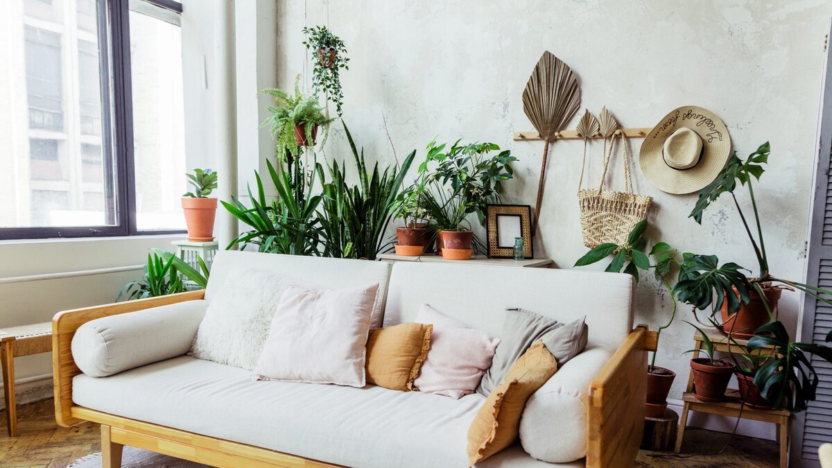 View of The New Era of Sustainable Luxury in Home Decor - News18