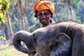 Throwback Gem: The Elephant Whisperers’ Bomman And Raghu In 5-Year-Old Pic