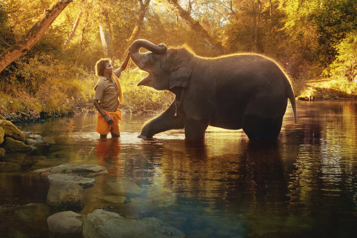 Oscars 2023: The Elephant Whisperers Wins Best Documentary Short Film At 95th Academy Awards